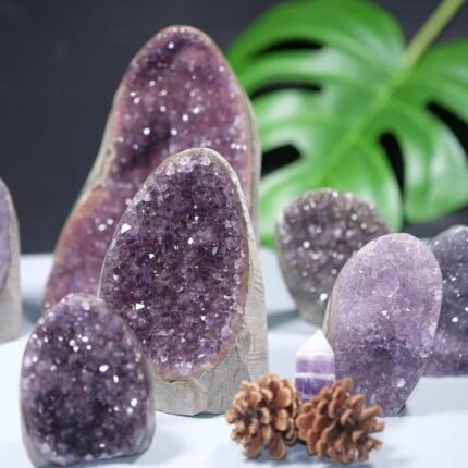 1000Living show orders